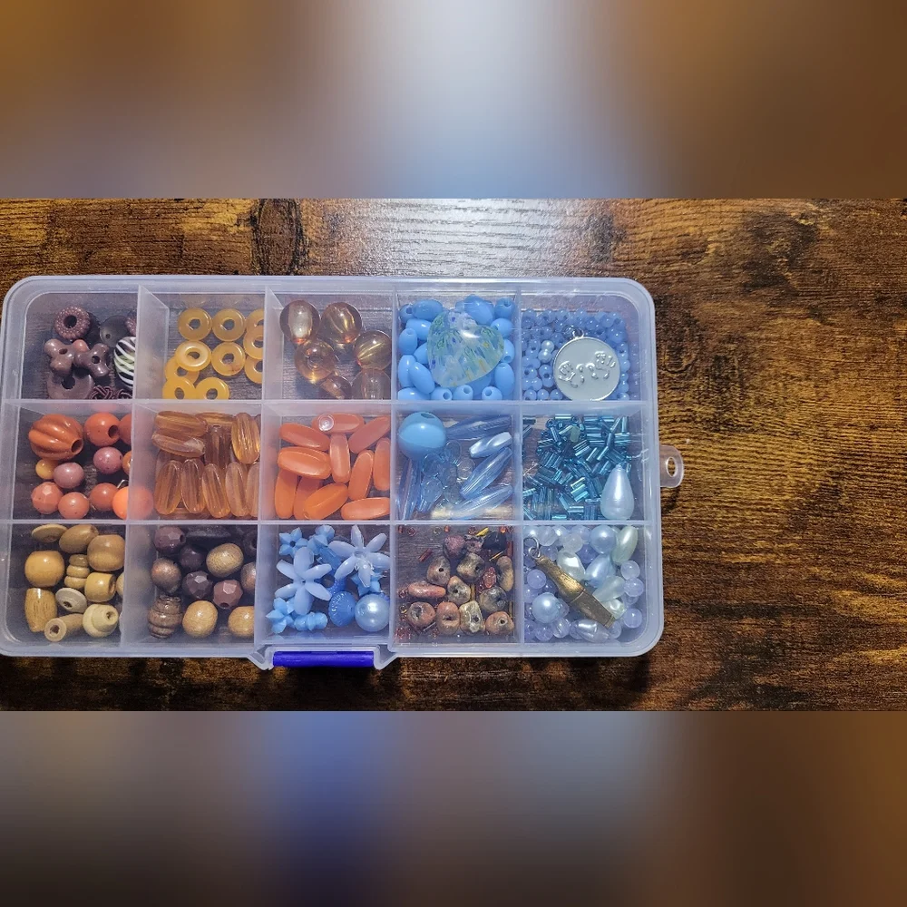 Clear Bead Organizer with Blue and Orange Beads